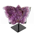 Amethyst Schmetterling auf Display