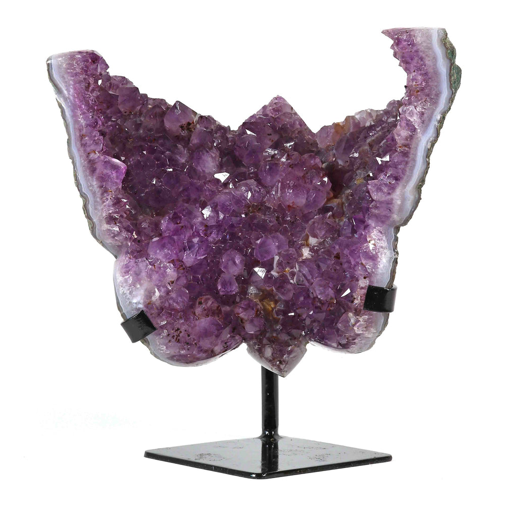 Amethyst Schmetterling auf Display
