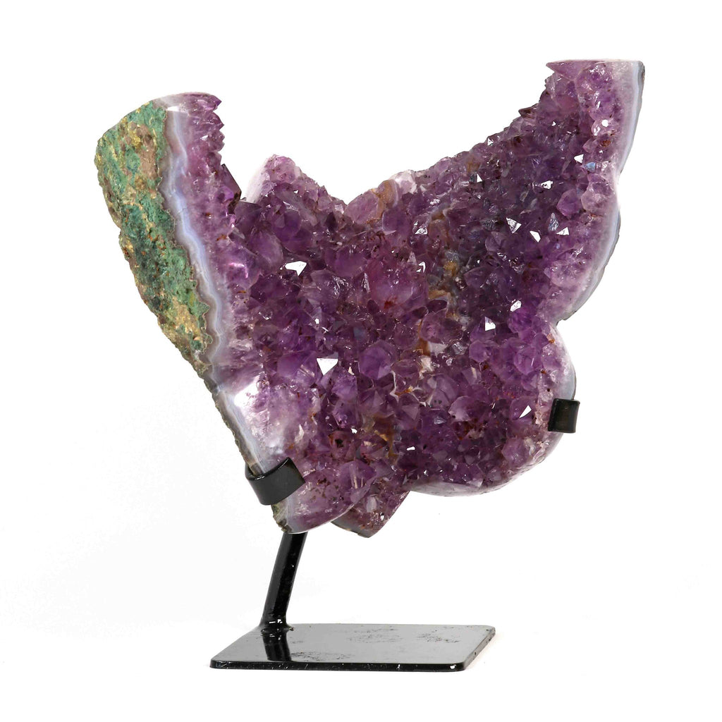 Amethyst Schmetterling auf Display