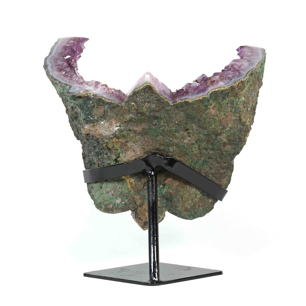 Amethyst Schmetterling auf Display