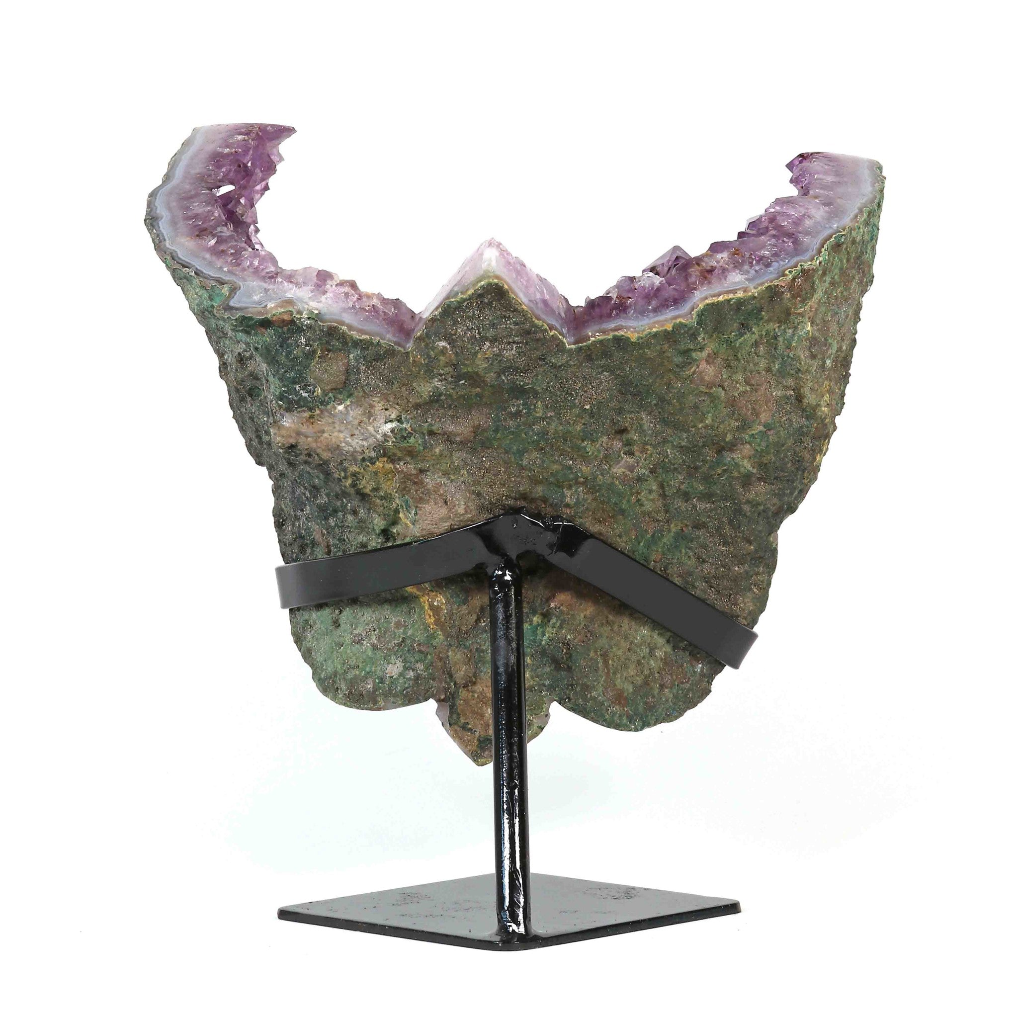 Amethyst Schmetterling auf Display
