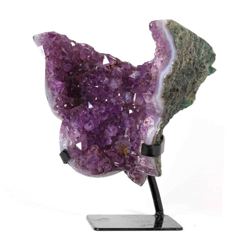 Amethyst Schmetterling auf Display