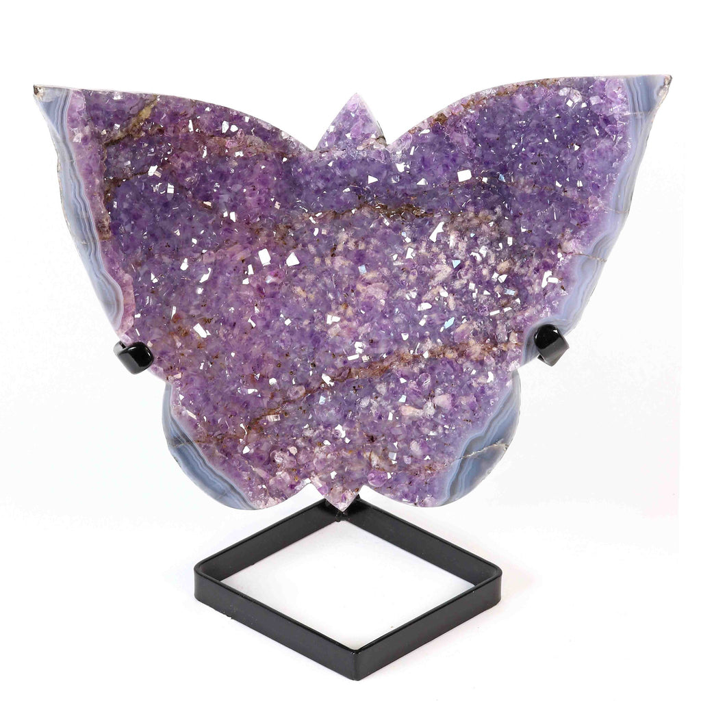 Amethyst Schmetterling auf Display