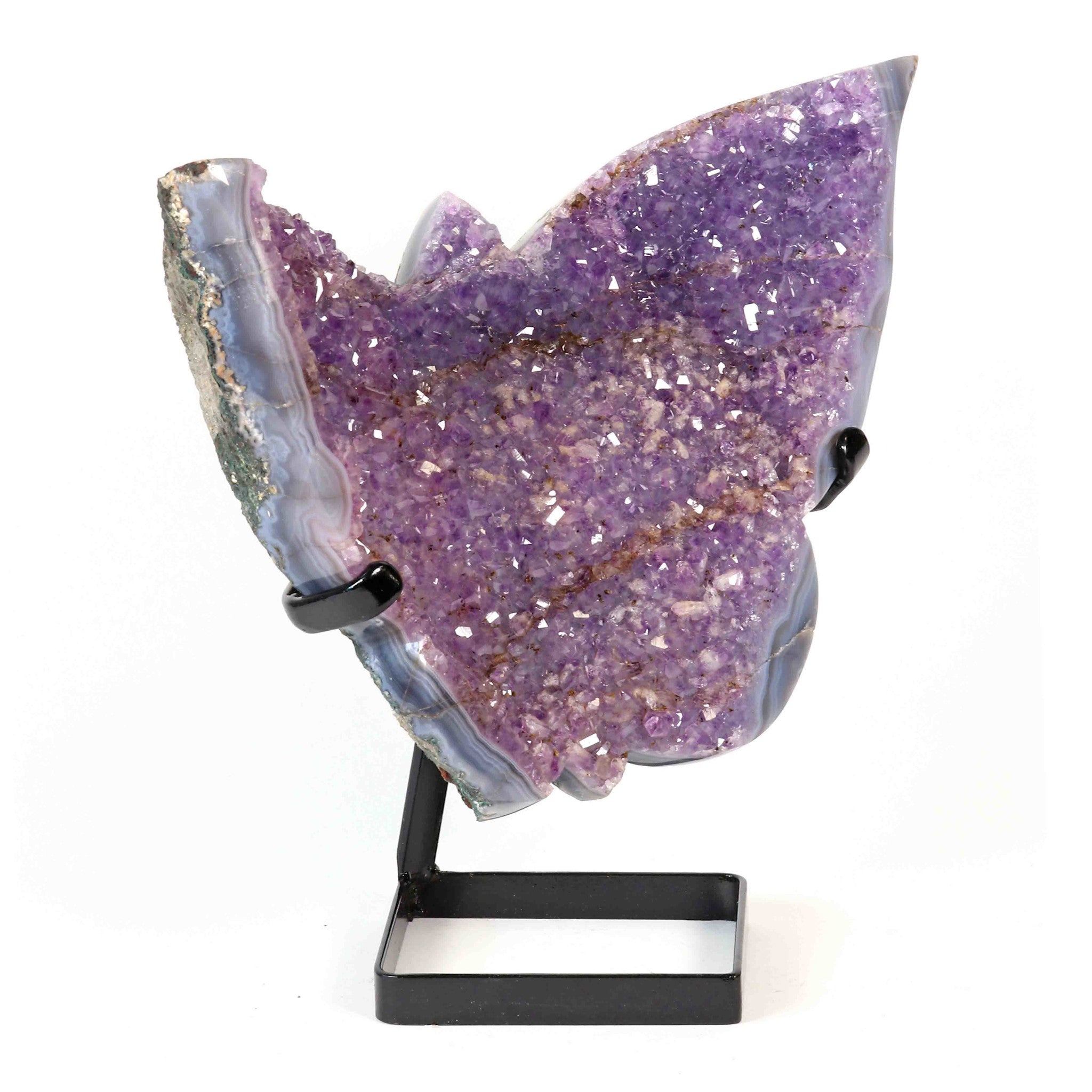 Amethyst Schmetterling auf Display