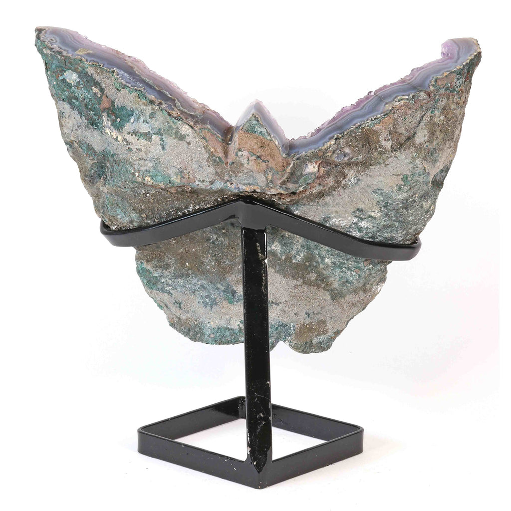 Amethyst Schmetterling auf Display