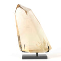 Citrin Spitze Free-Form auf Display Extra