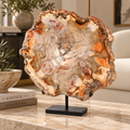 Slice of Petrified Wood. Formed 200 millions years ago. Island of Madagascar
