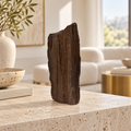 Fairywood Premineralized Fossil Wood
